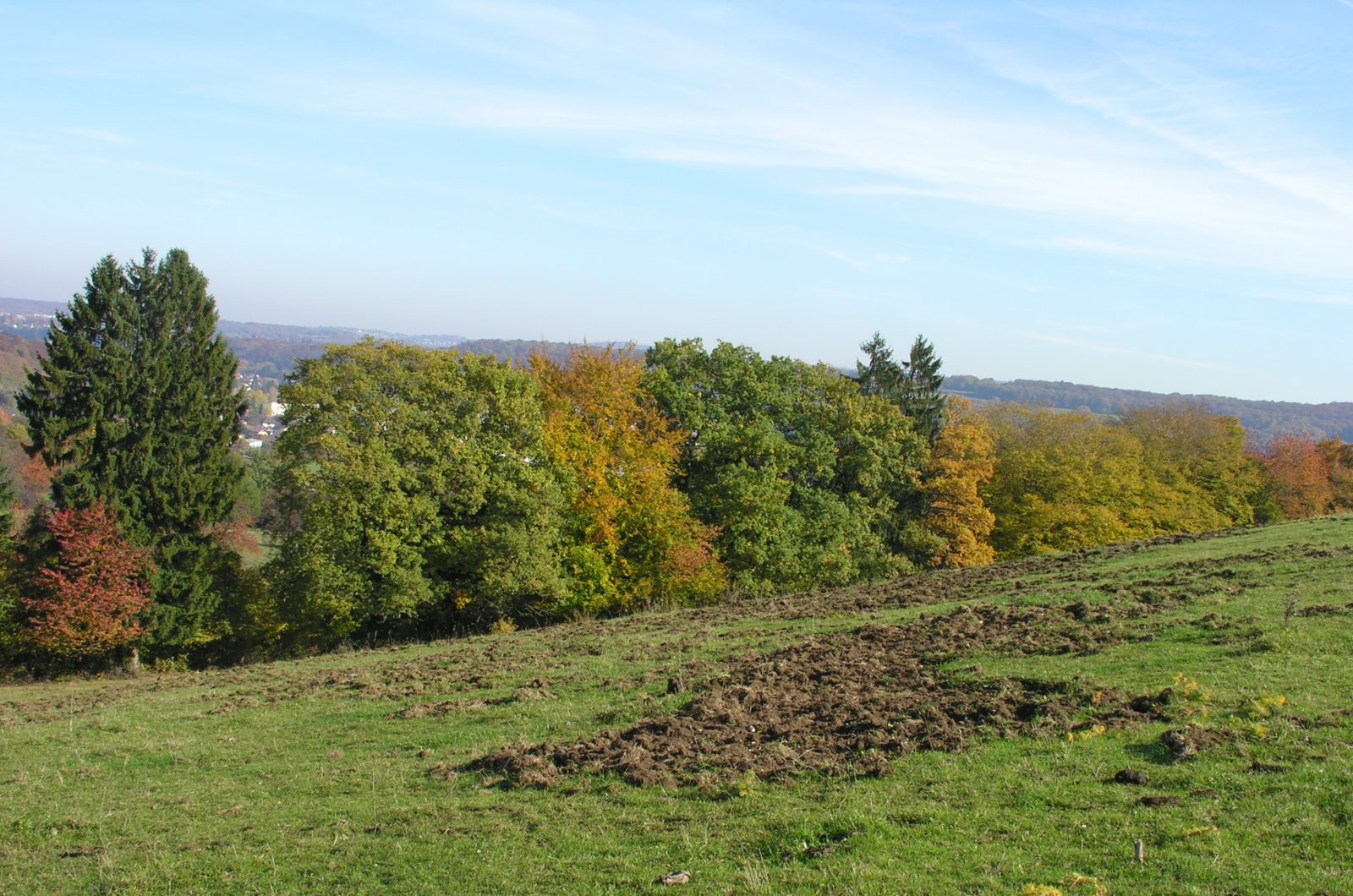 Les Missions Principales De La Fédération Des Chasseurs Du Doubs