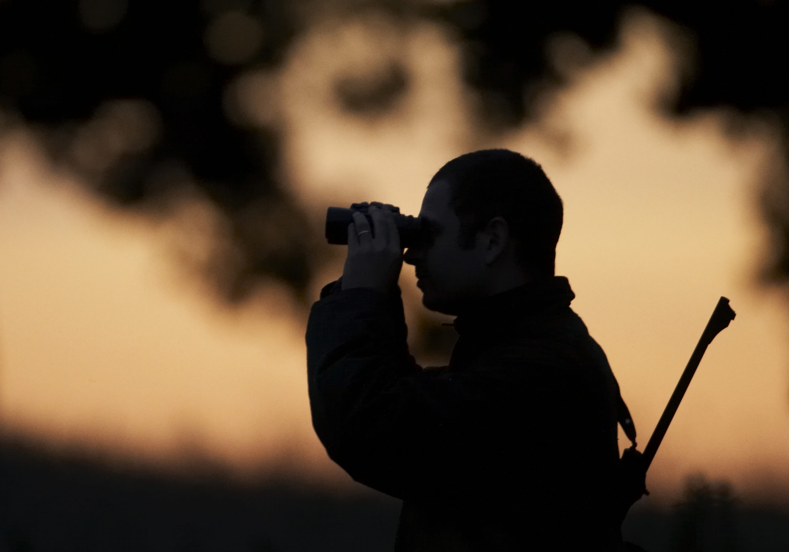 Les Heures De Chasse Fédération Des Chasseurs Du Doubs