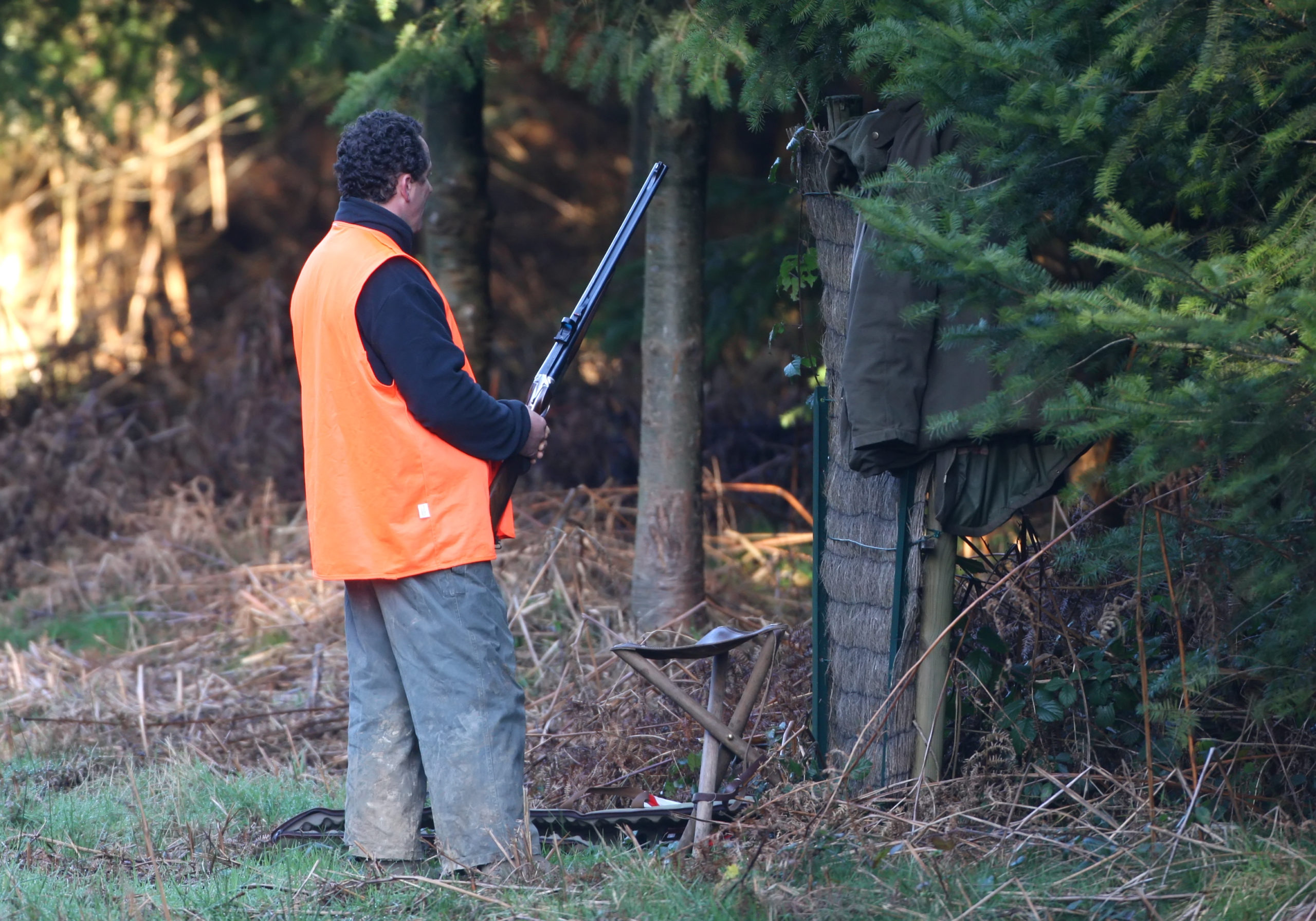 Les Jours De Chasse Fédération Des Chasseurs Du Doubs