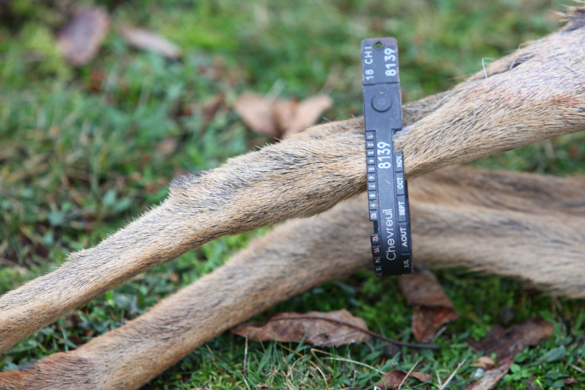 Les Missions Principales De La Fédération Des Chasseurs Du Doubs